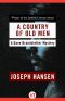 [Dave Brandstetter 12] • Ein Land der alten Männer · A Country of Old Men